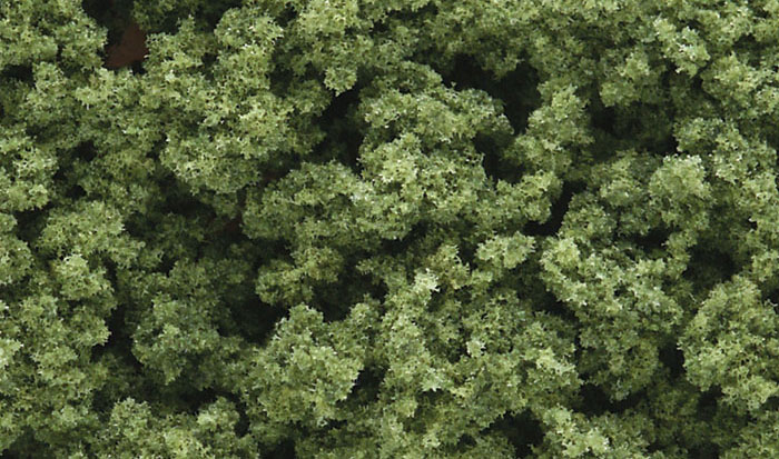 Woo182 Lightt Green- Clump Foliage