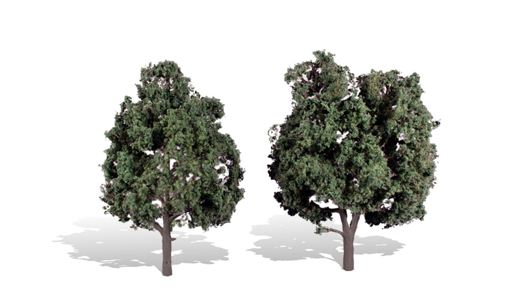 Woo3514 5-6 In. Cool Shade Trees