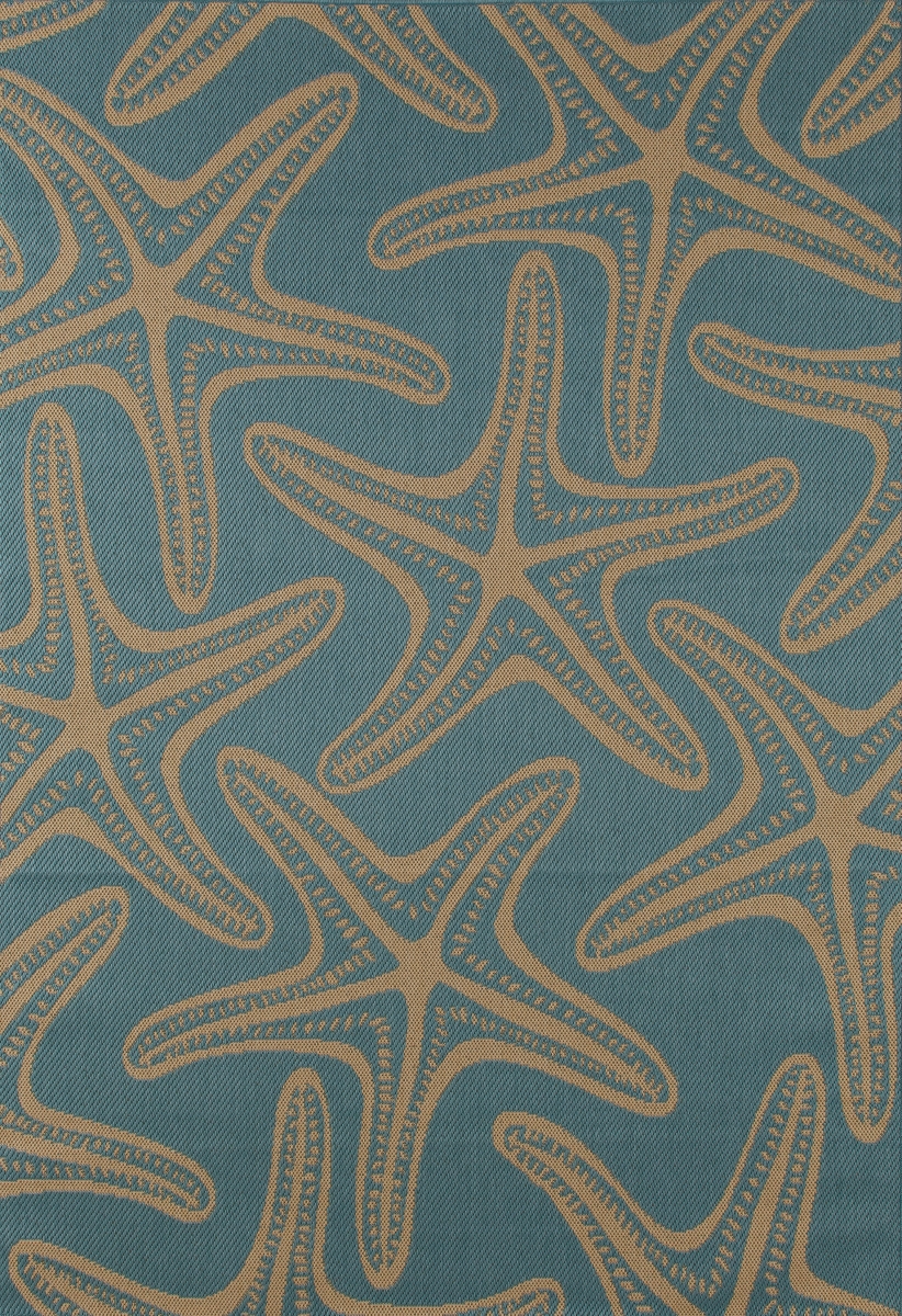 29427 5 X 8 Ft. Plymouth Collection Starfish Flat Woven Indoor & Outdoor Area Rug, Blue