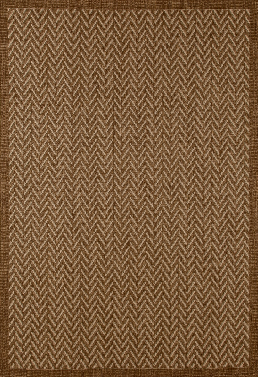 30331 7 X 9 Ft. Plymouth Collection Bayou Flat Woven Indoor & Outdoor Area Rug, Brown