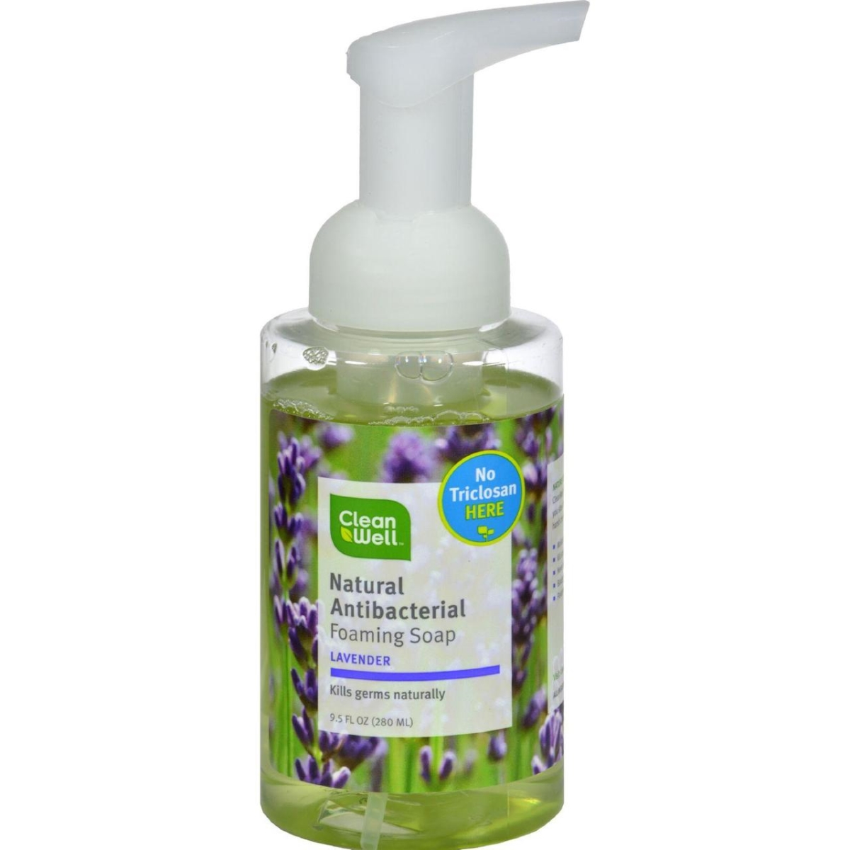 Hg0341669 9.5 Fl Oz All-natural Antibacterial Foaming Hand Wash - Lavender Absolute