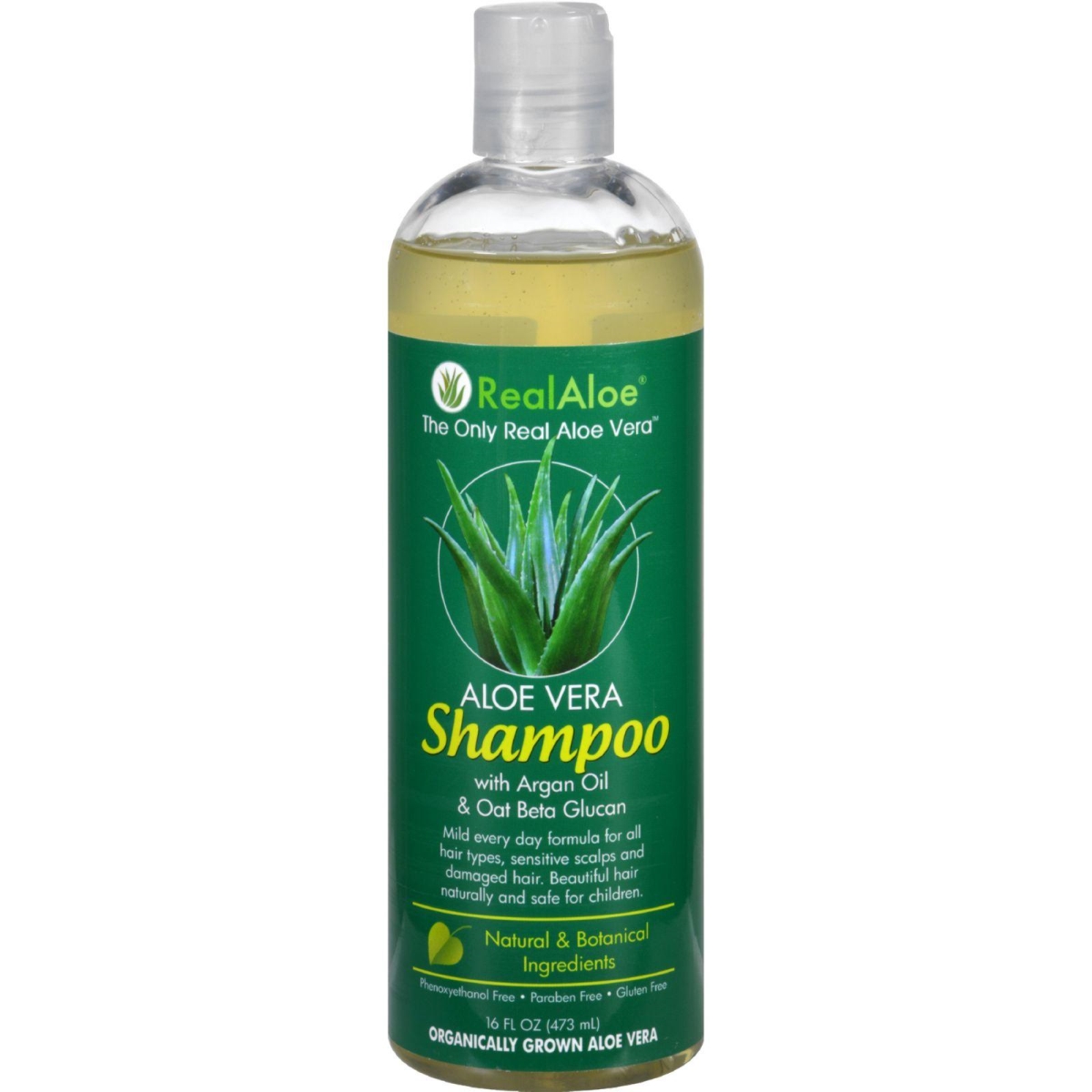 Hg1543792 16 Fl Oz Shampoo - Aloe Vera Mild
