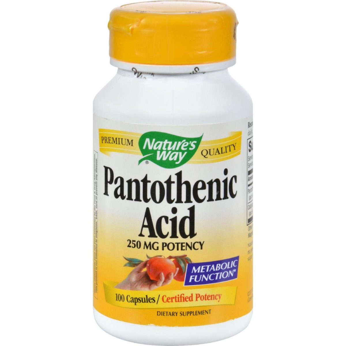 Hg0816389 250 Mg Pantothenic Acid - 100 Capsules