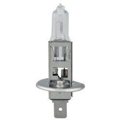 01003 12v, 55 Watt T3-1 By 2 P14.5s Base Headlight Bulb