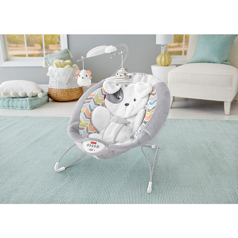 Fisher-price Dth04 Sweet Snugapuppy Dreams Deluxe Bouncer