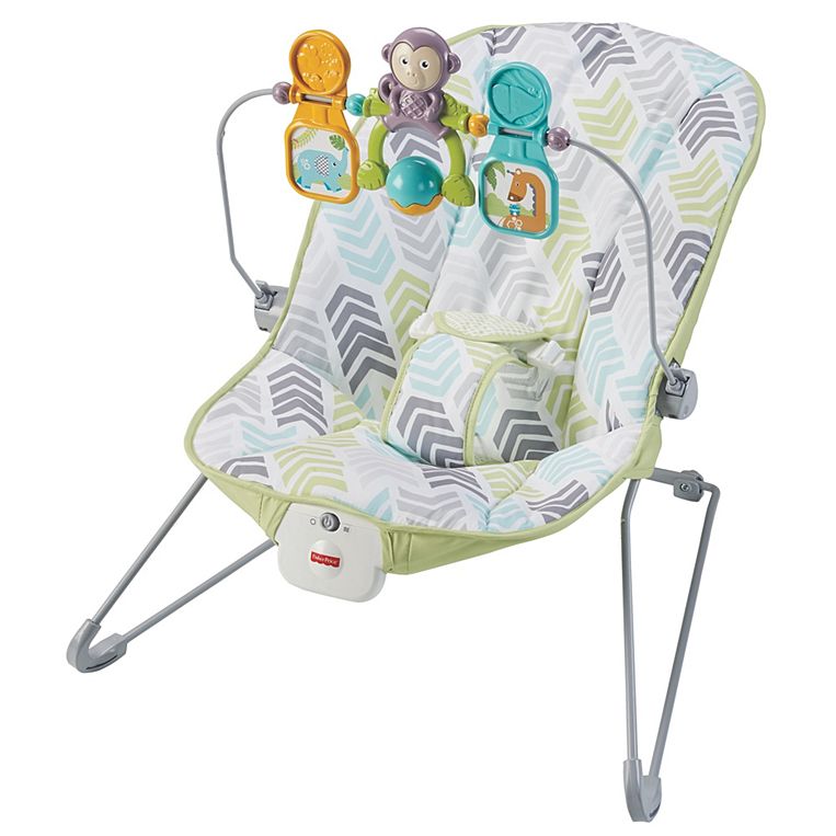Fisher-price Dtg94 Babys Bouncer - Green, Blue & Grey