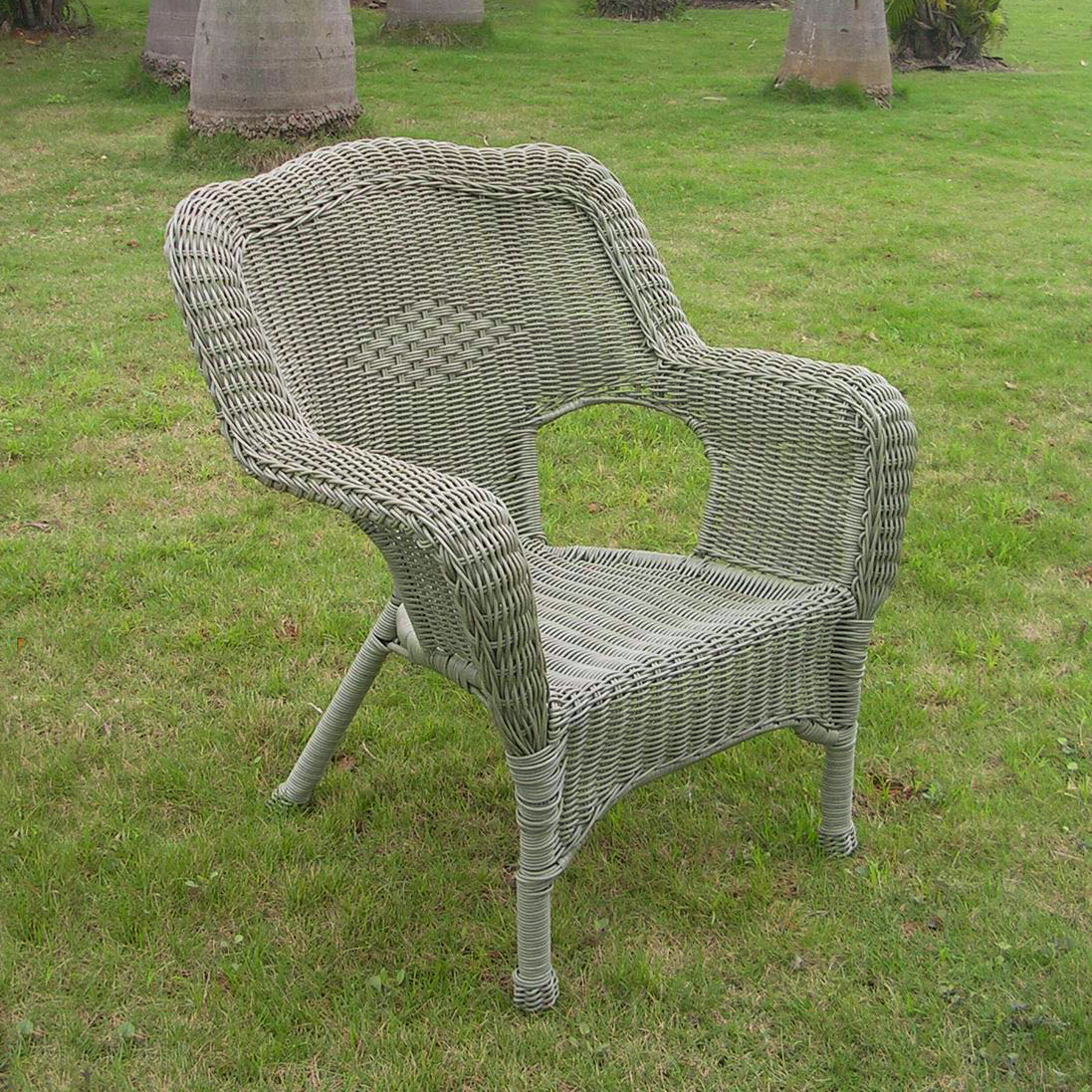 3180-1ch-am Camelback Resin Wicker Patio Chair, Antique Moss