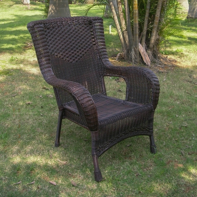 4005-1ch-ap Resin Wicker & Aluminum Dining Chair, Antique Pecan