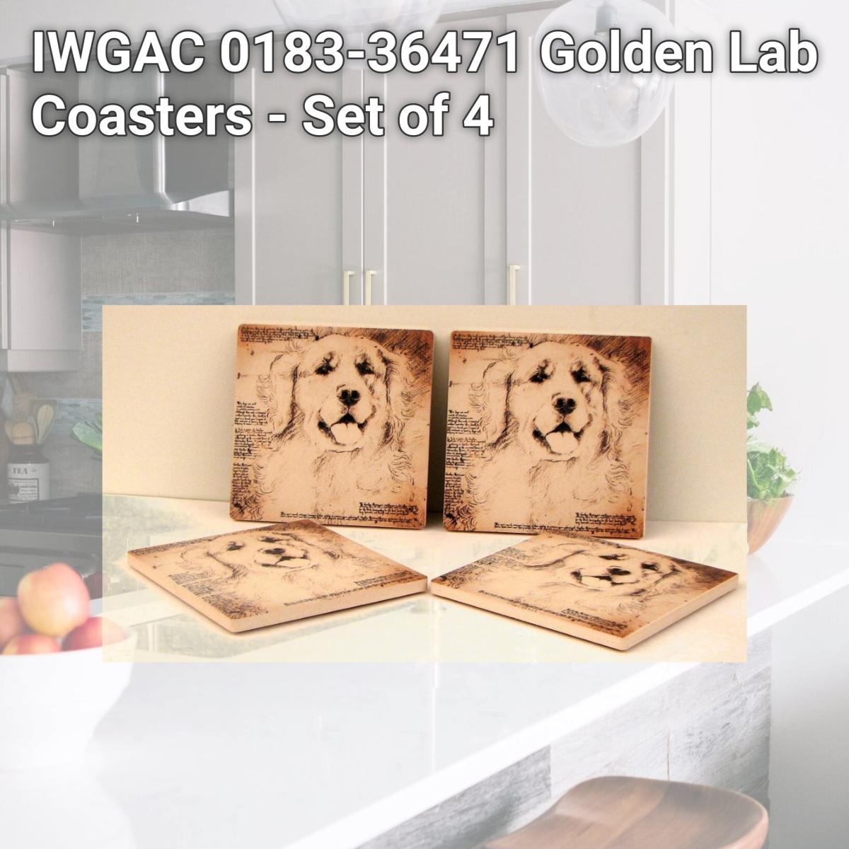 Picture of IWGAC 0183-36471 Golden Lab Coasters - Set of 4