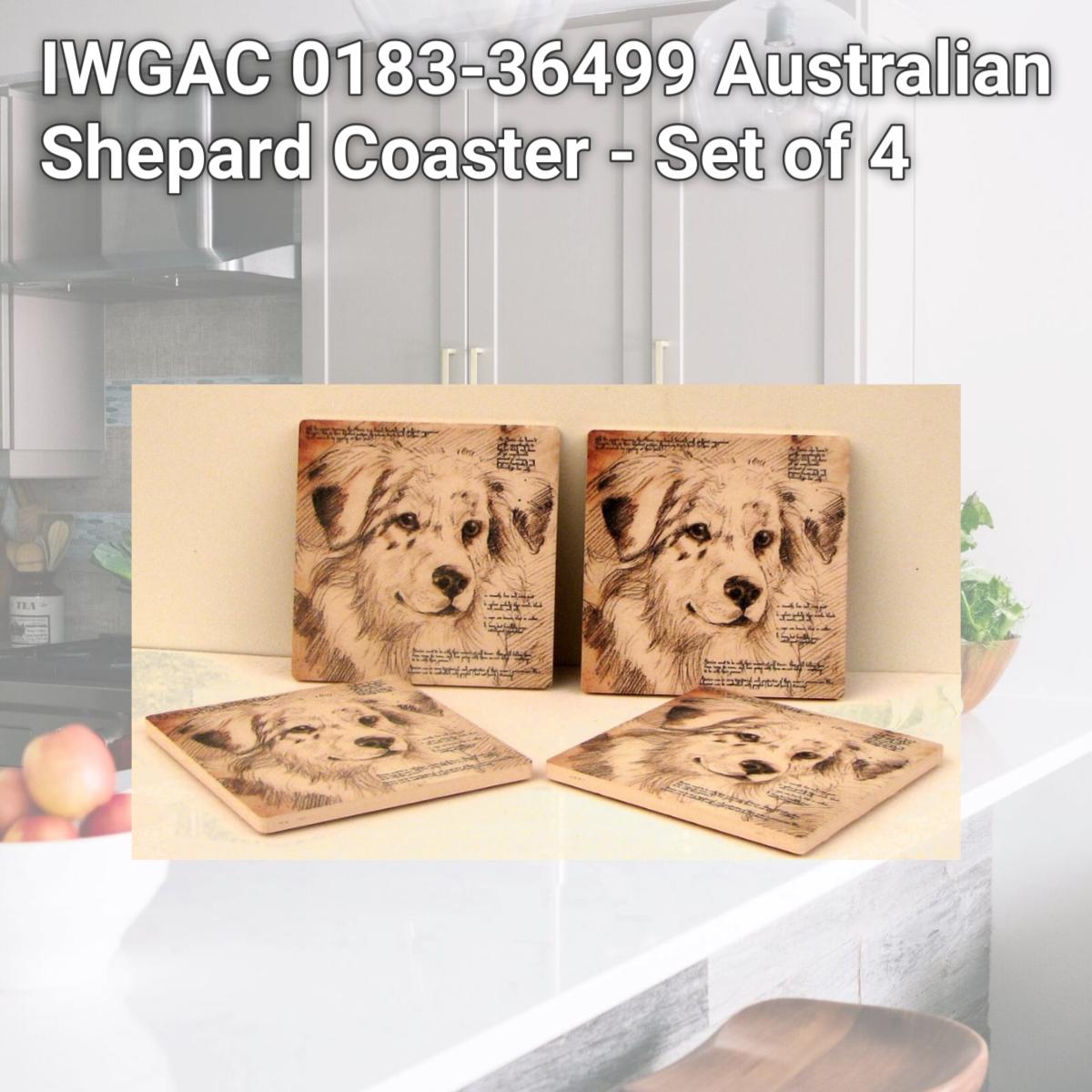 Picture of IWGAC 0183-36499 Australian Shepard Coaster - Set of 4