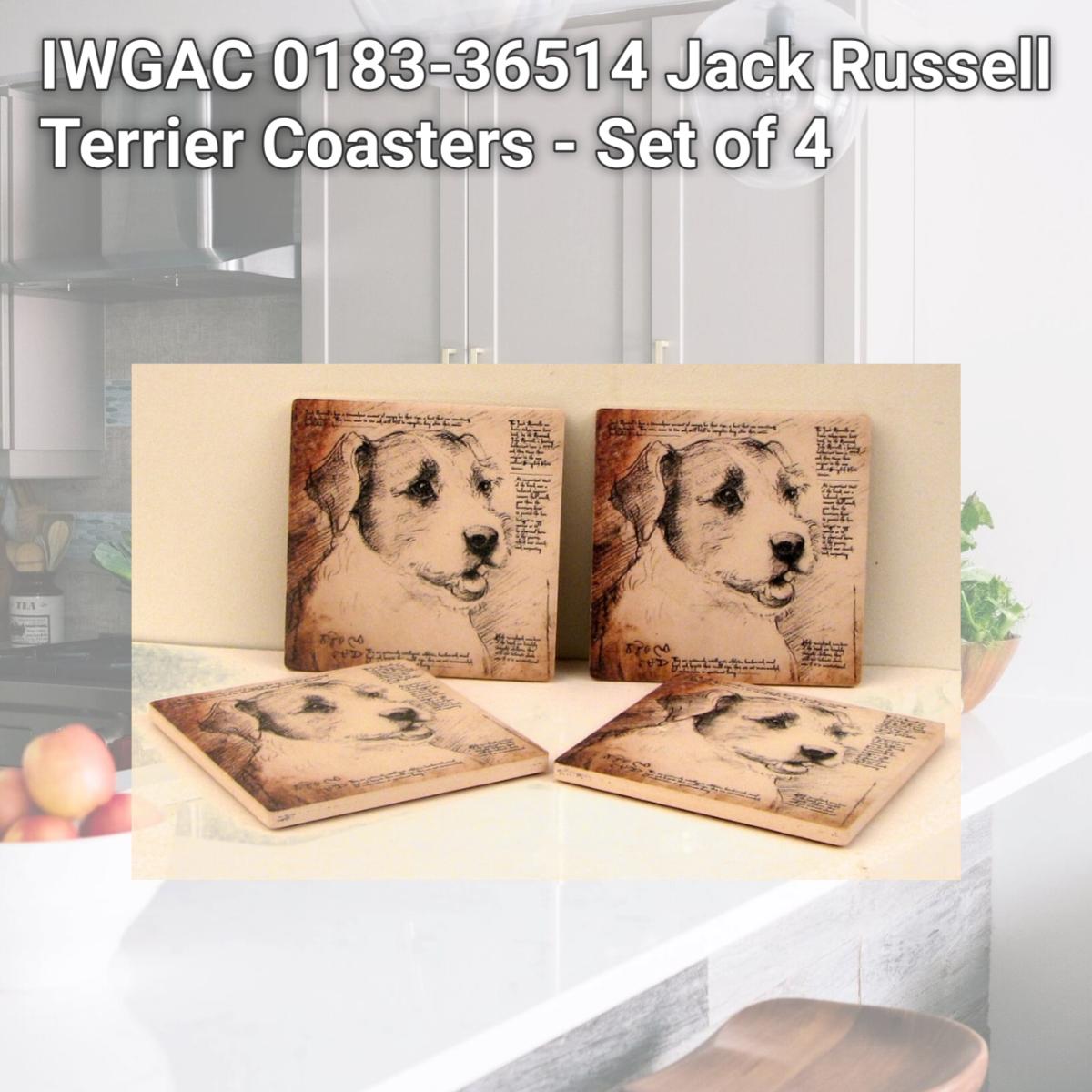 Picture of IWGAC 0183-36514 Jack Russell Terrier Coasters - Set of 4
