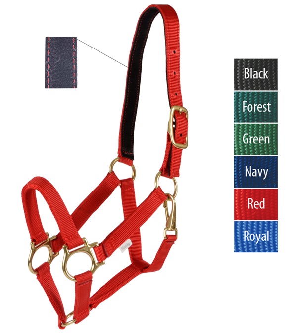 3300-fo-4 Track Halter, Forest - Weanling