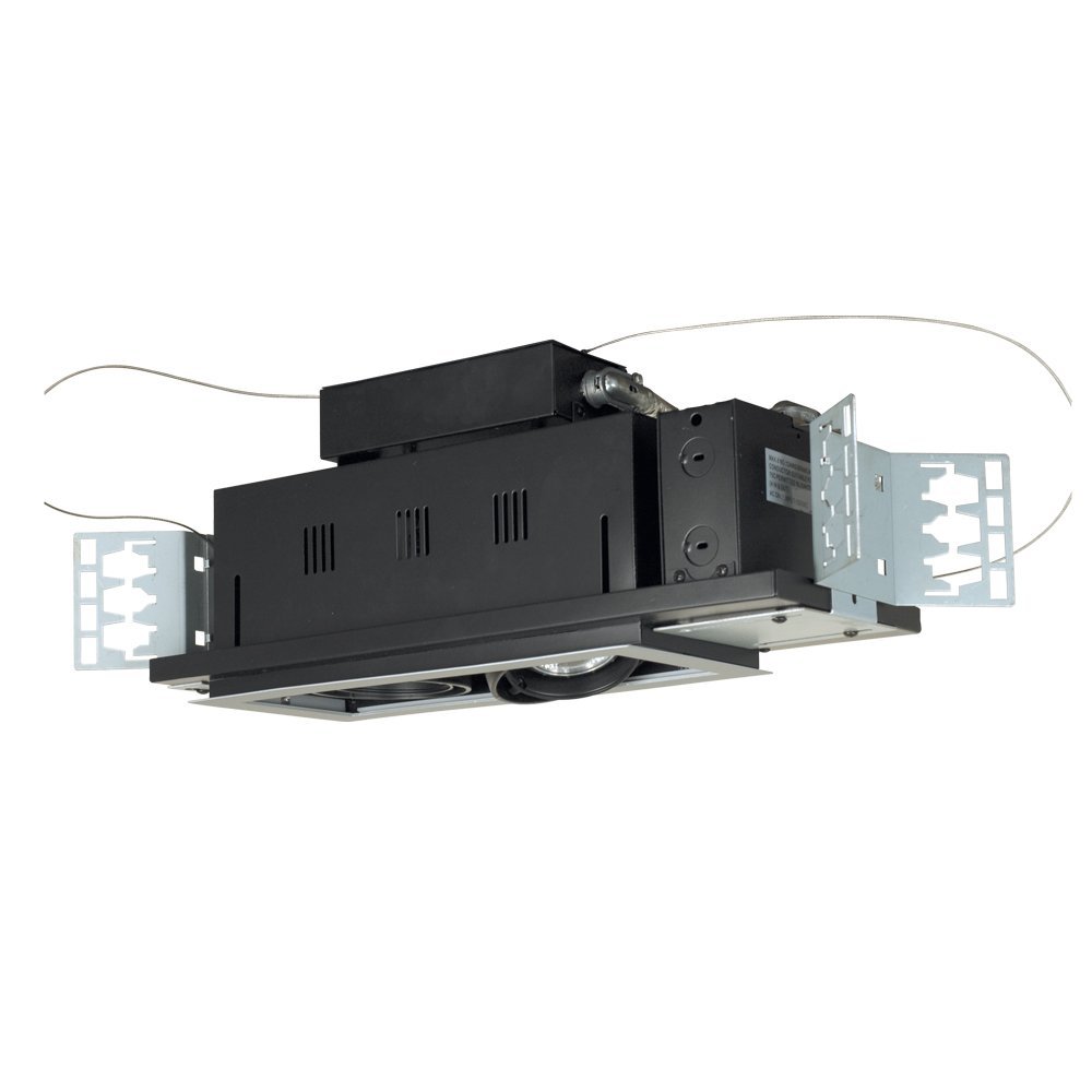 Mgp20-2sb Two-light Double Gimbal Linear Recessed Line Voltage Fixture