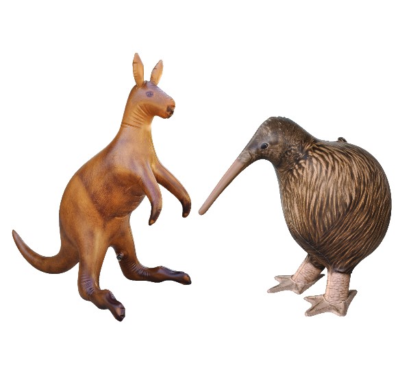 Jc-d018 Inflatable Long Kangaroo & Length Kiwi Bird