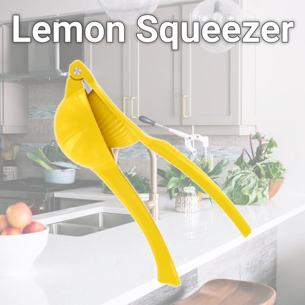 Picture of Progressive Housewares Lemon Squeezer  GT3949