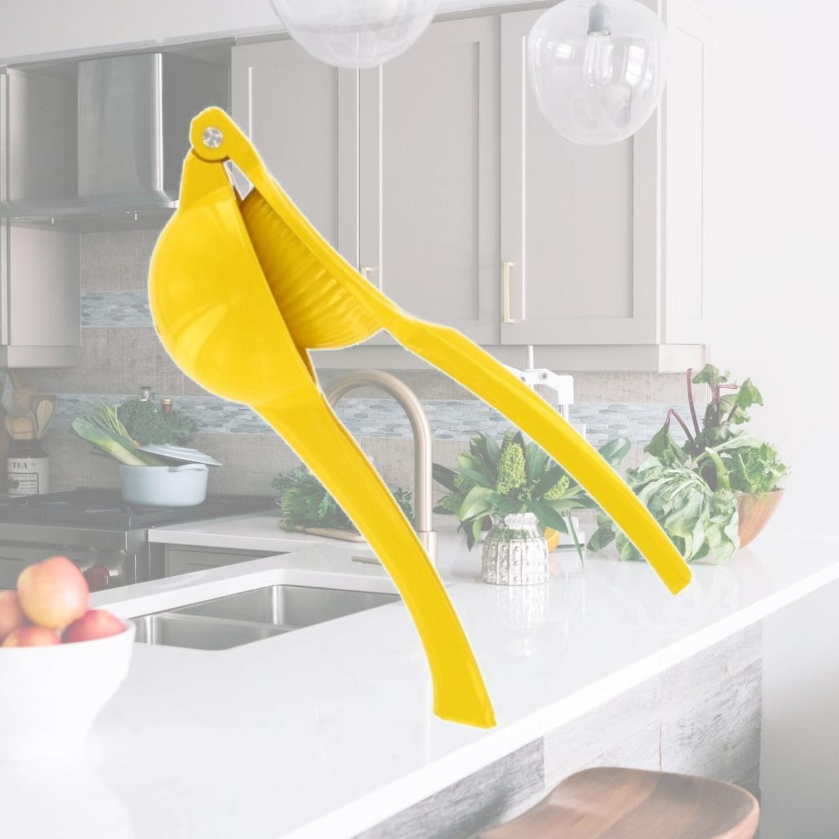 Picture of Progressive Housewares Lemon Squeezer  GT3949