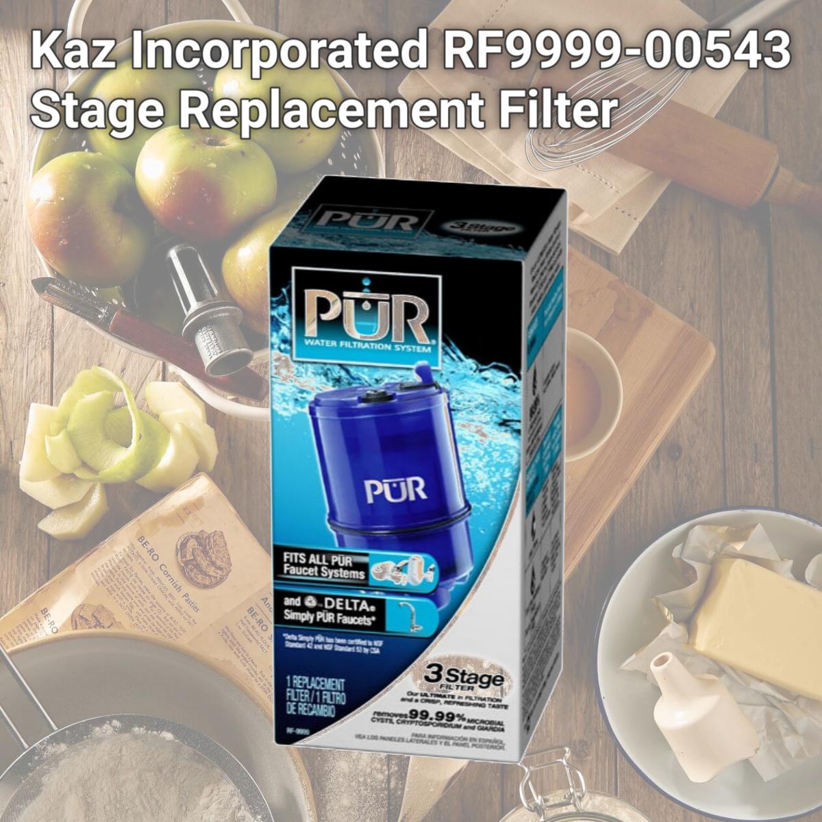 Picture of Kaz Incorporated RF9999-00543 Stage Replacement Filter