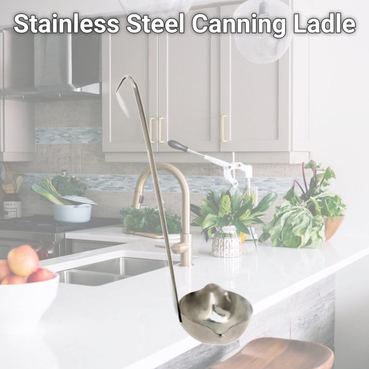 Picture of Norpro 590 Stainless Steel Canning Ladle