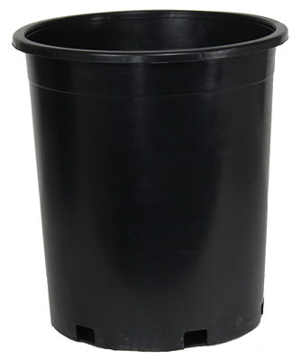 Ner005g0g18 No.5 Nursery Container - Black