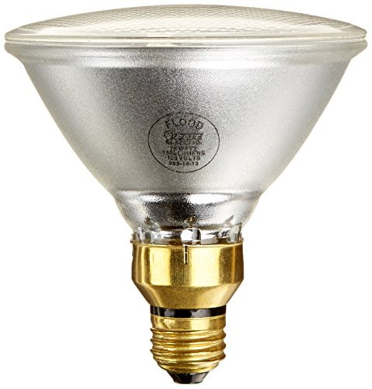 70w Halogen Bulb, Pack Of 2