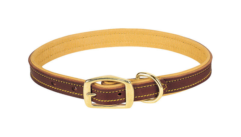 0.75 X 17 In. Leather Dog Collar
