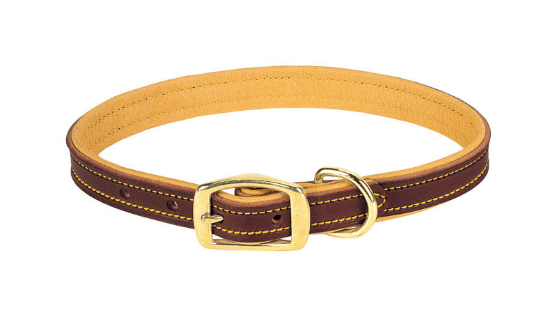 8427338 1 X 19 In. Leather Dog Collar