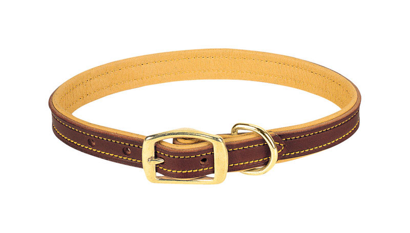 1 X 21 In. Leather Dog Collar