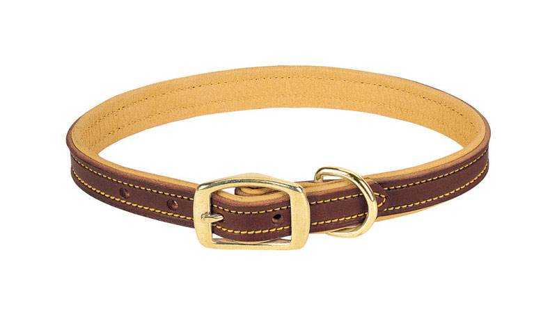 8427544 1 X 23 In. Leather Dog Collar
