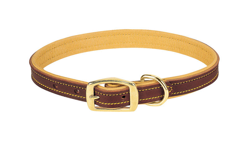 0.75 X 15 In. Leather Dog Collar