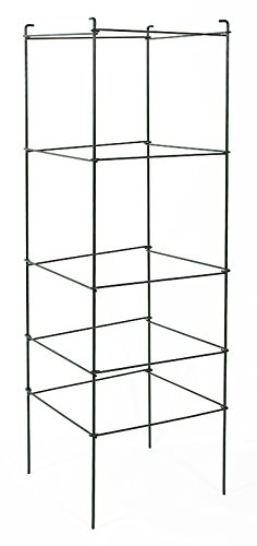 65tcf12 48 In. Premium Square Folding Cage - Pack Of 5