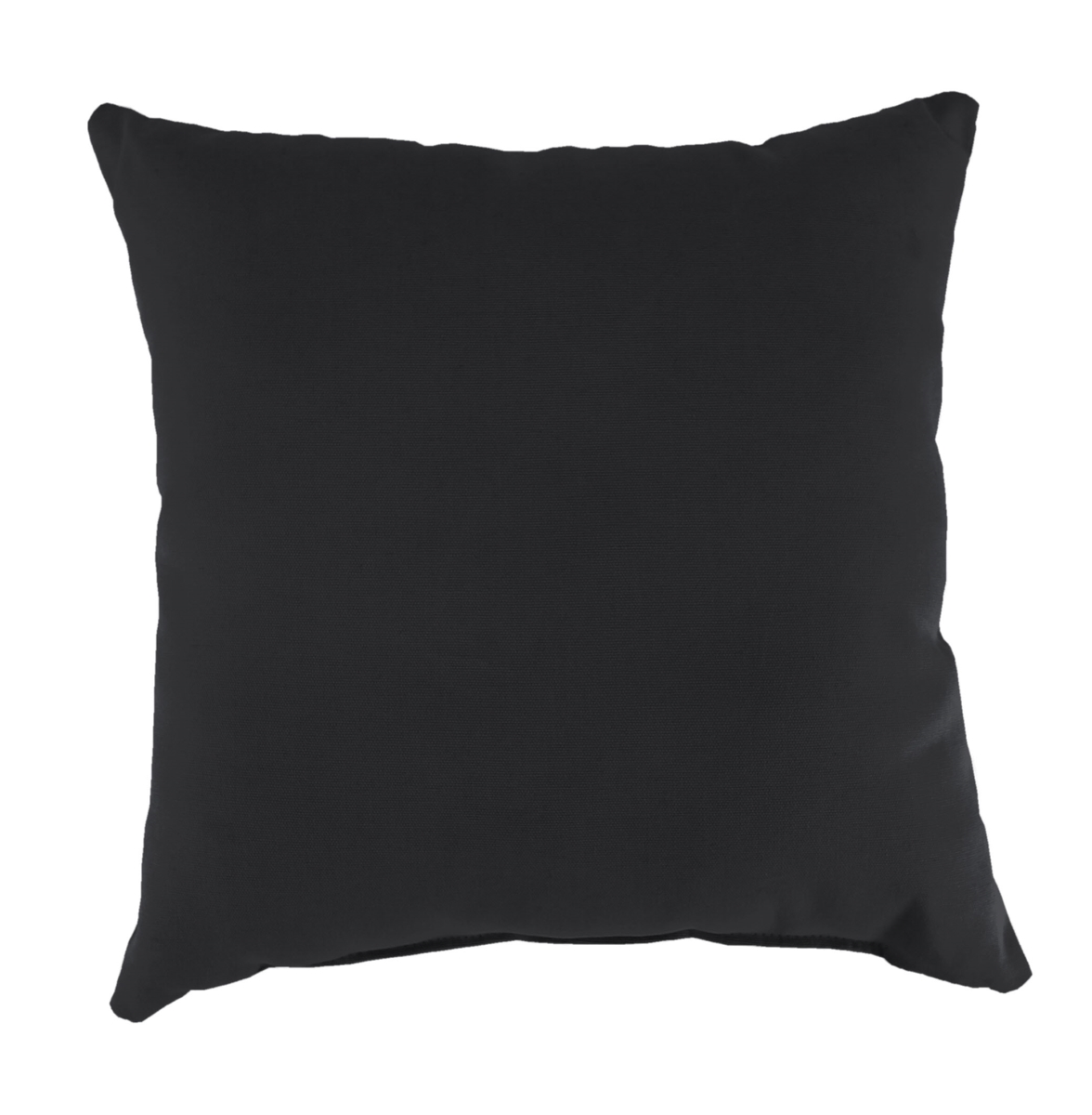 9950pk1-273c 18 X 18 In. Outdoor Pillow In Black