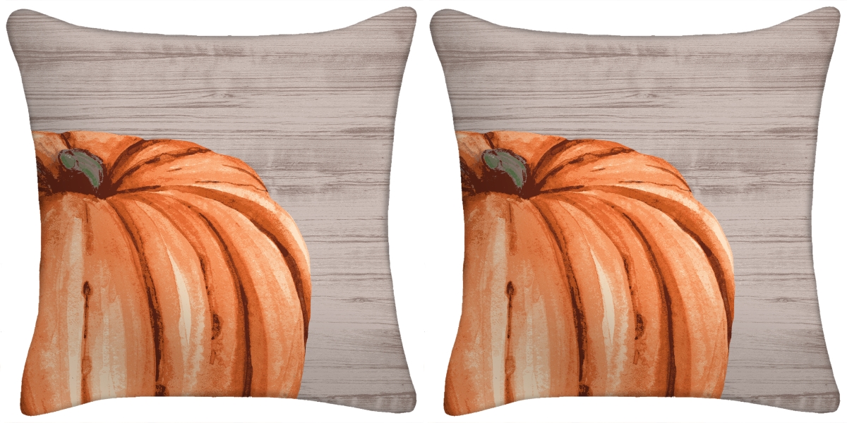 9950pk2-508dpt 18 In. Harvest Pumpkin Toss Pillow, Set Of 2