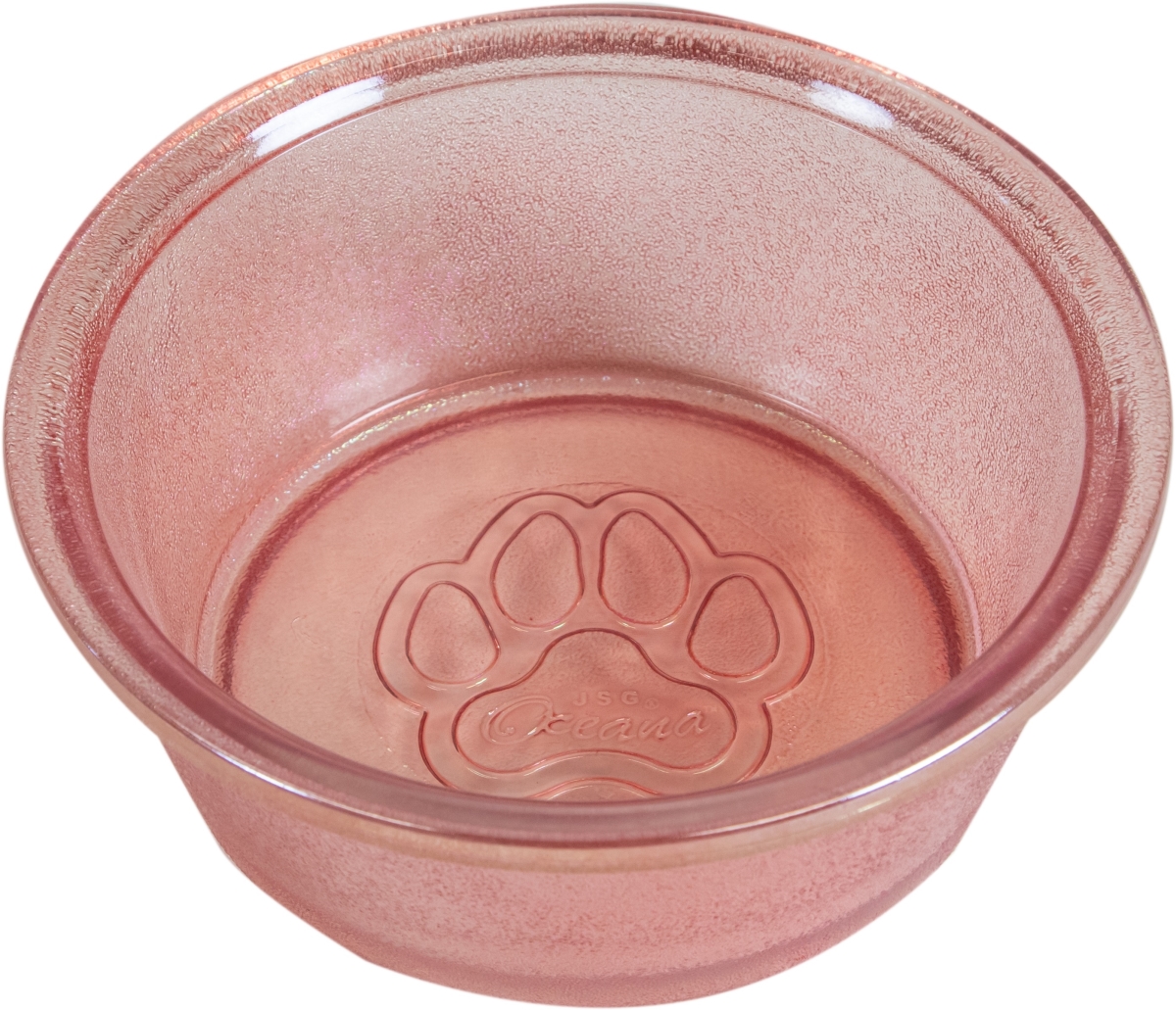 879481009563 Posh Pink Pet Bowl, Medium - Pack Of 2