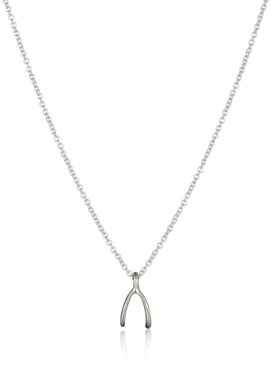 Reminder Silver Wish Wishbone Chain Necklace - Ms1627