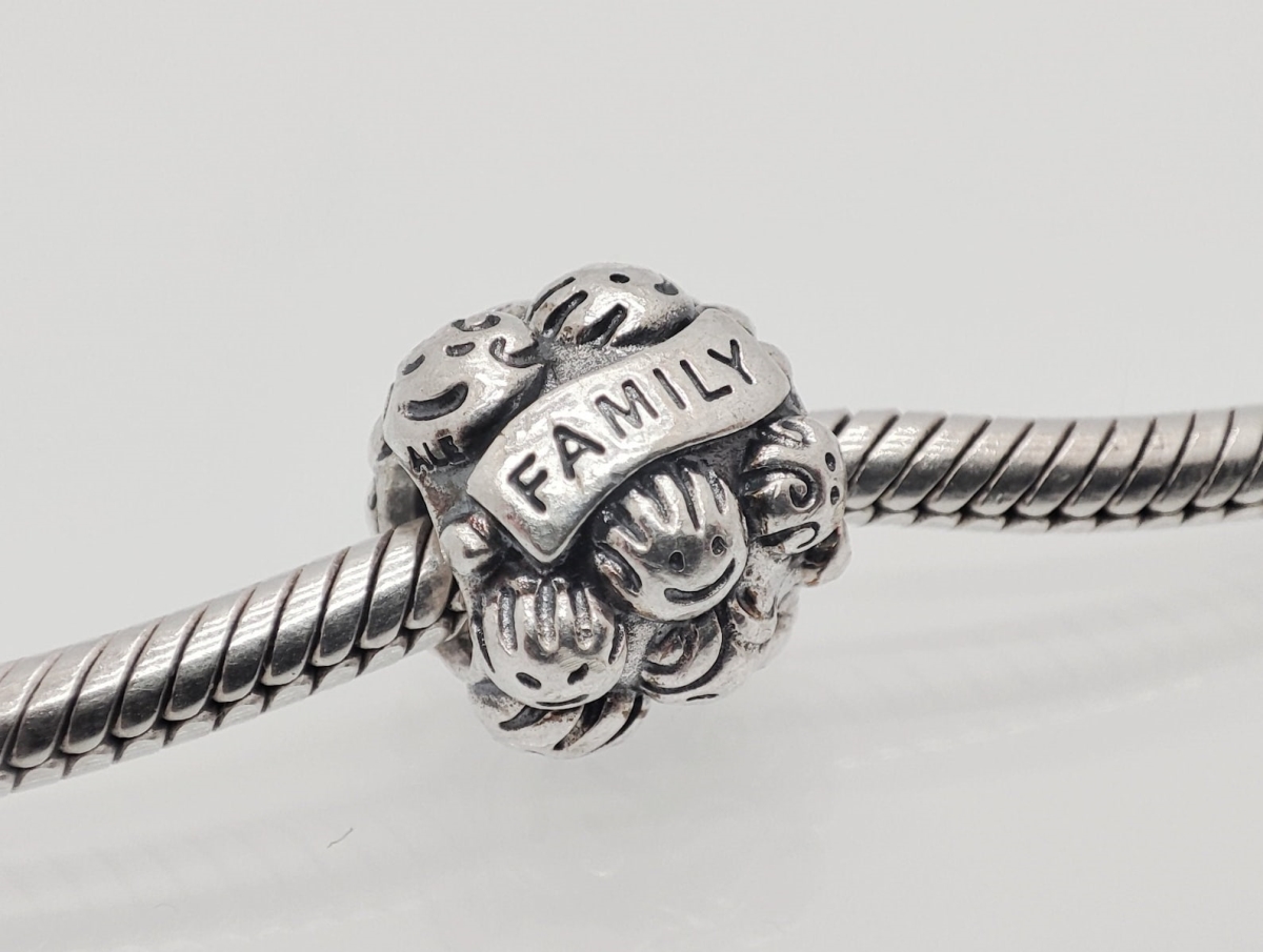 791039 Love & Family Charm - Sterling Silver