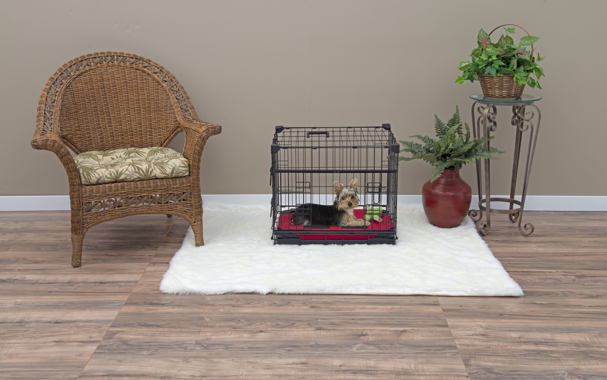 Zw 51522 22 In. Sliding Double Door Dog Crate - Extra Small