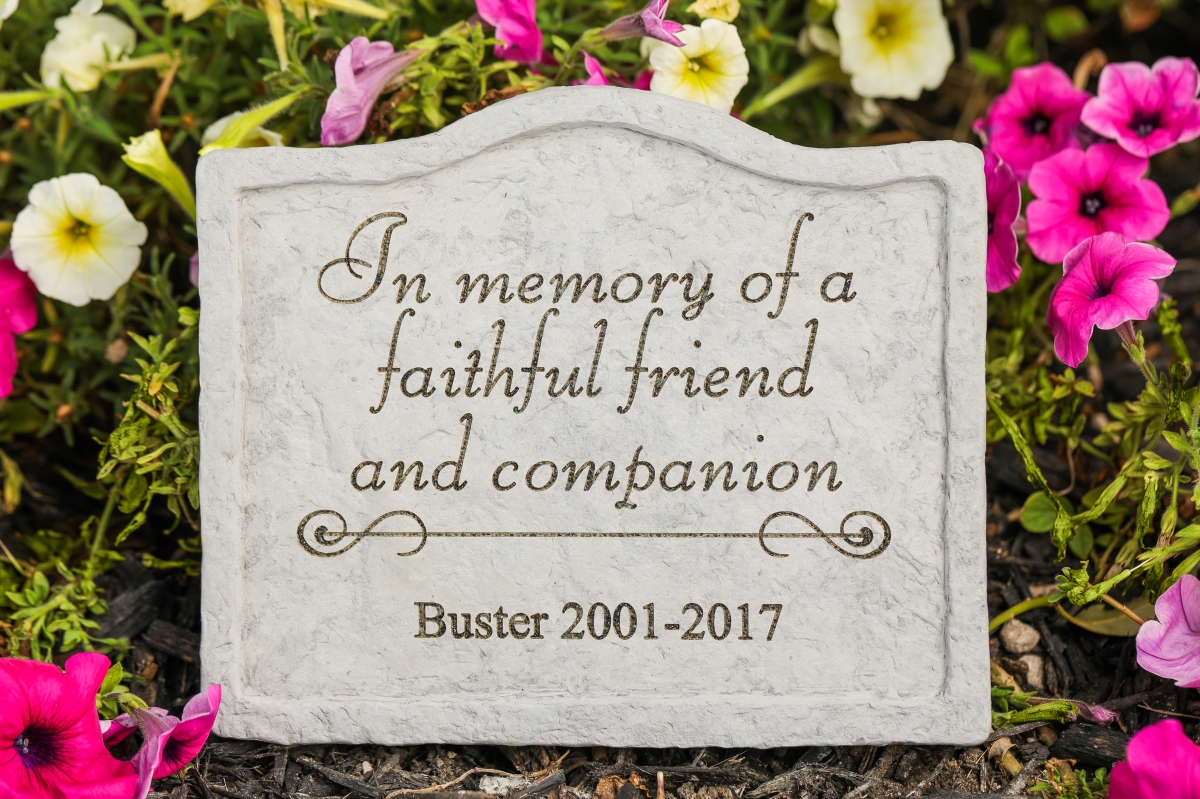 44501 8 X 6.75 In. In Memory Of A Faithful Friend Memorial Stone In Garden Stake