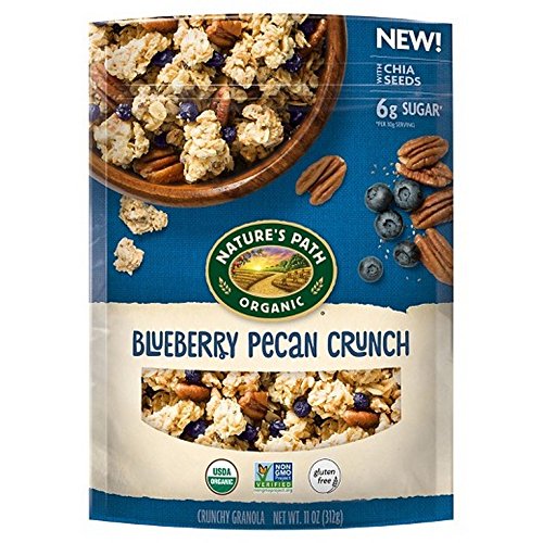 UPC 058449172024 product image for Natures Path 291649 11 oz Blueberry Pecan Chia Granola, Pack of 8 | upcitemdb.com