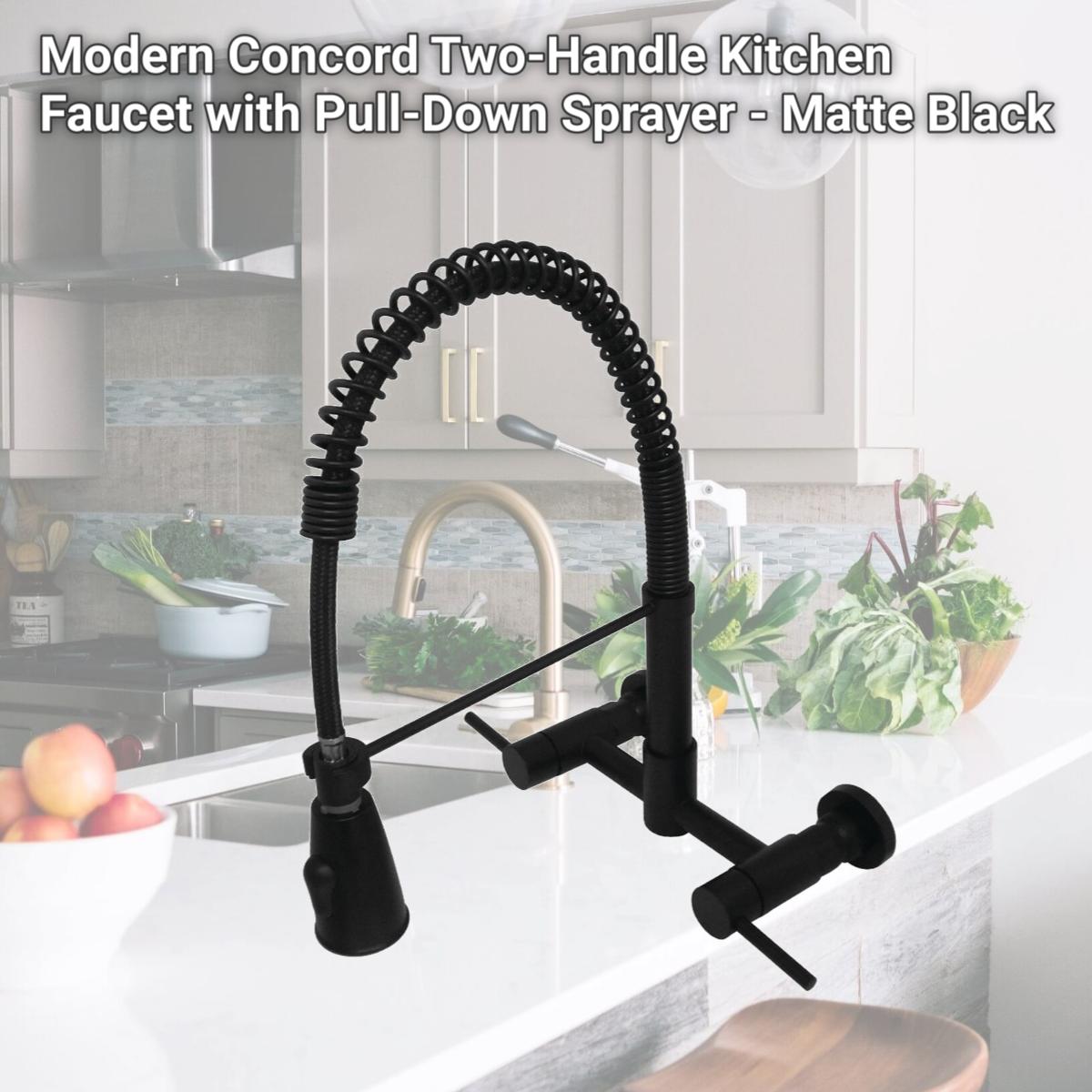 Picture of Gourmetier GS8280DL Modern Concord Two-Handle Kitchen Faucet with Pull-Down Sprayer - Matte Black