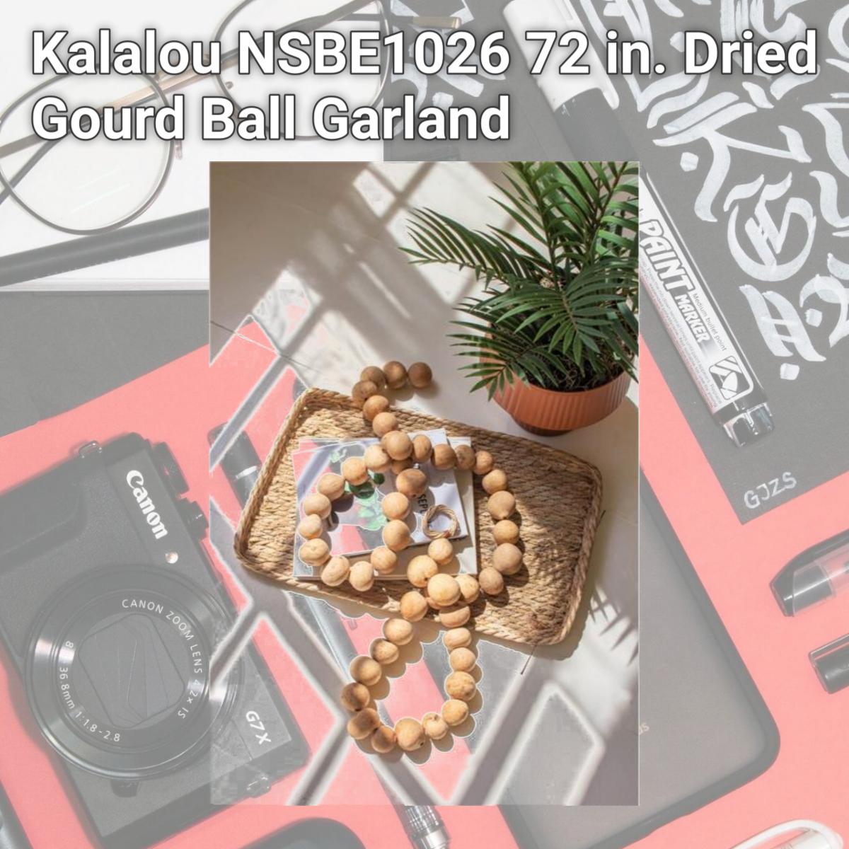 Picture of Kalalou NSBE1026 72 in. Dried Gourd Ball Garland