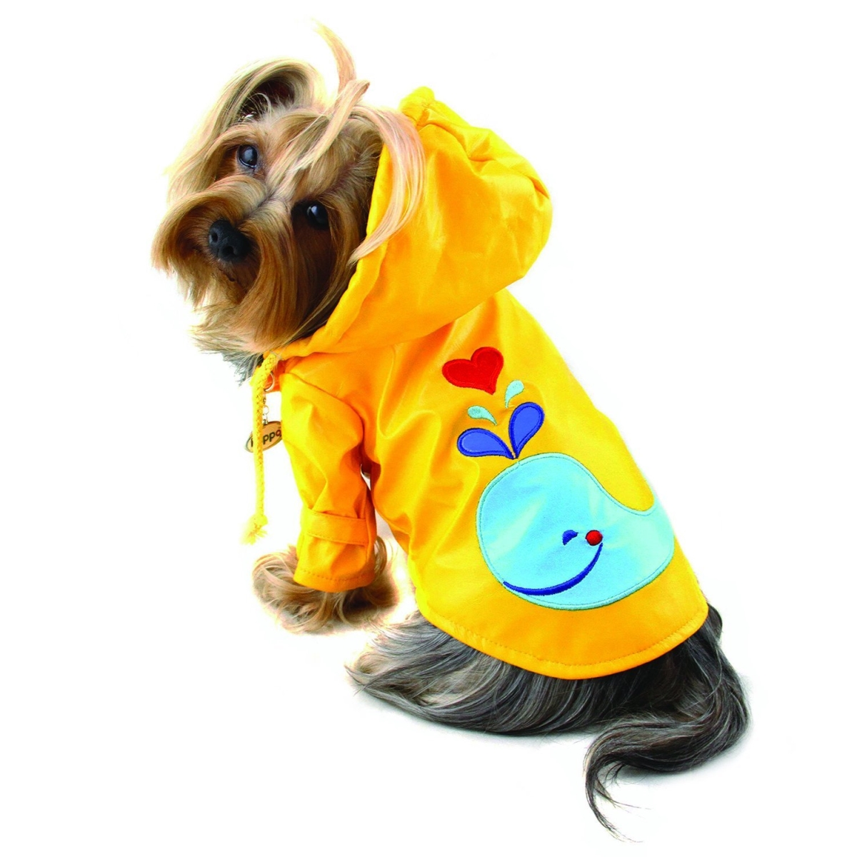 Kjk060sz Puppy Splashing Whale Raincoat - Small