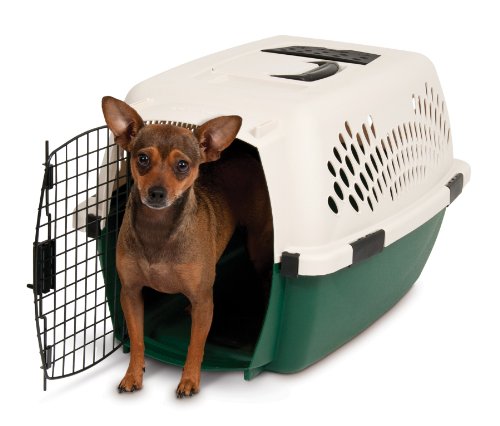 Plastic Dog Crate Kennel, Off White & Green - 10 To 20 Lbs