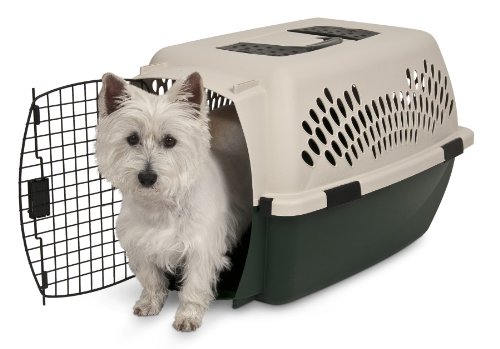 21793 Plastic Dog Crate Kennel, Off White & Green - 20 To 25 Lbs
