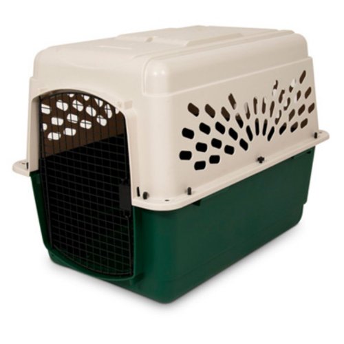 21794 Plastic Dog Crate Kennel, Off White & Green - 25 To 30 Lbs