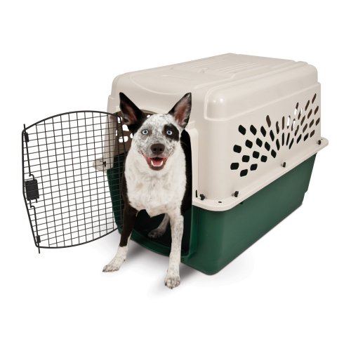 21795 Plastic Dog Crate Kennel, Off White & Green - 30 To 70 Lbs