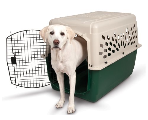 21796 Plastic Dog Crate Kennel, Off White & Green - 70 To 90 Lbs