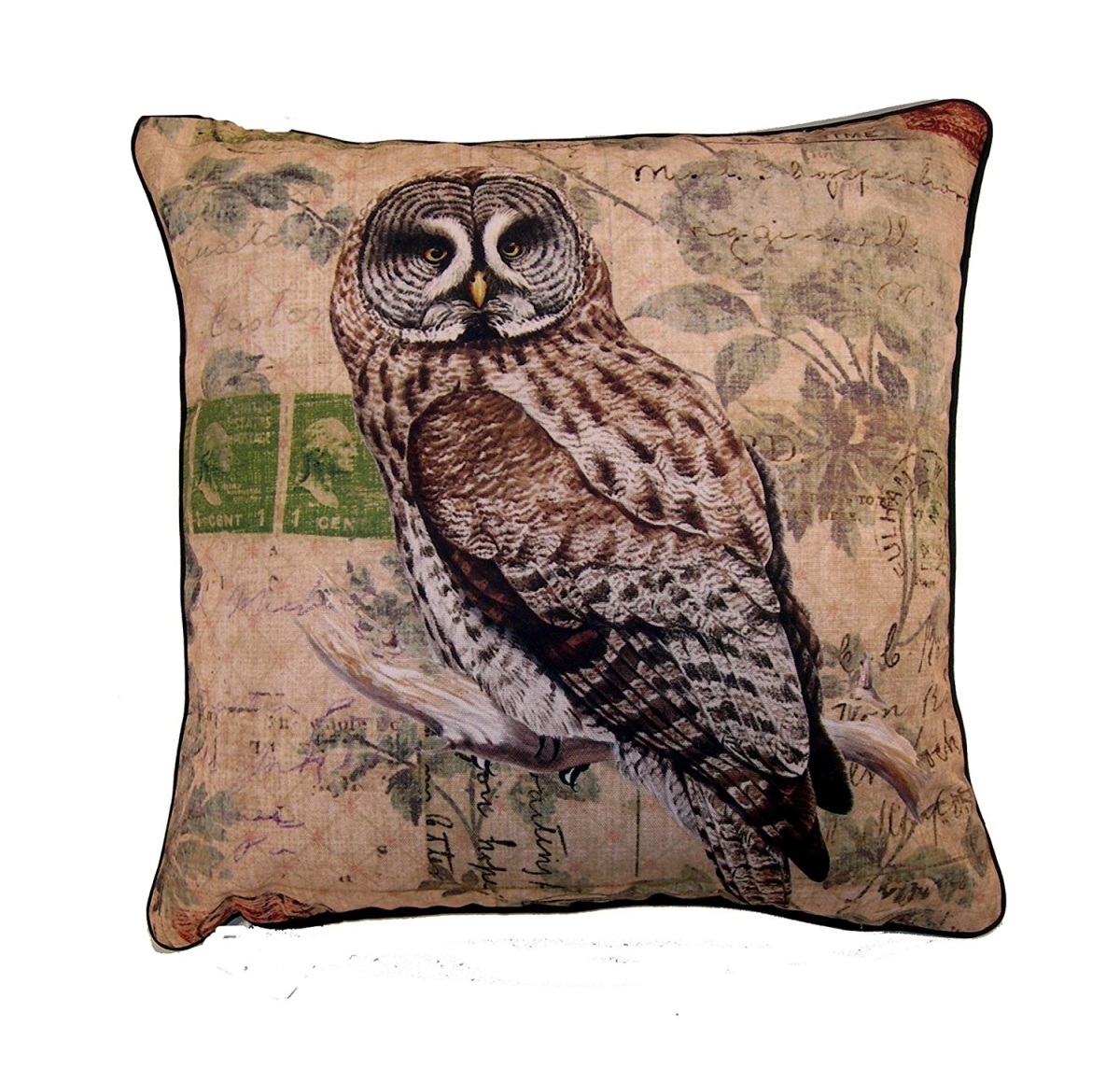 120420.18sq 18 In. Elegant Decor Owl Throw Pillow, Brown