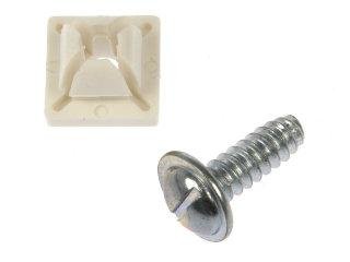 Dorman D18-02405 0.25 x 0.75 in. License Plate Bolts & Nuts