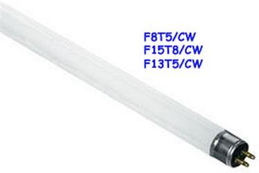 Thin-Lite T6F-F13T5CW 21 in. Multi Purpose Light Bulb Thin-Lite T6F-F13T5CW 21 in. Multi Purpose Light Bulb