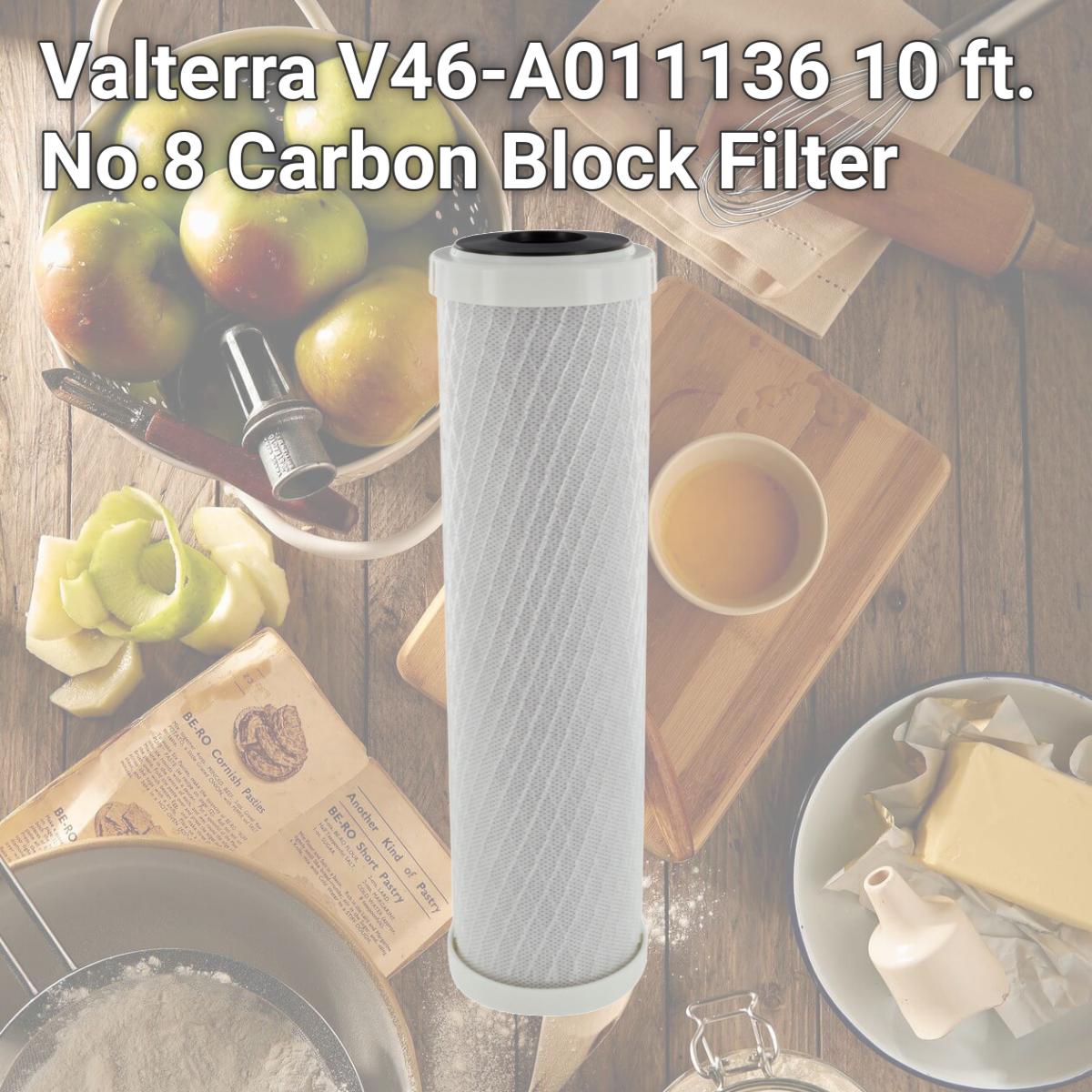 Picture of Valterra V46-A011136 10 ft. No.8 Carbon Block Filter